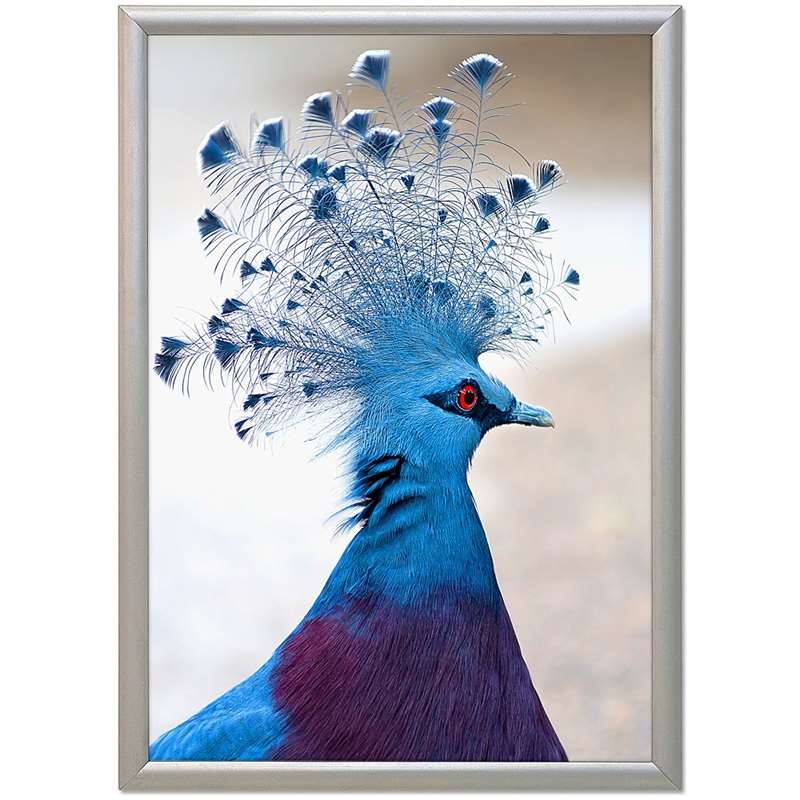 Alu snap frame, sølv, 17 mm profil, A1